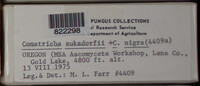 Image Associated With the Occurence